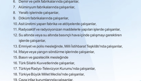 Yıpranma Payı ve Yeşil Pasaport Hakkında Kitapçık